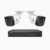 EL200 - 1080p 4 Kanal außen Kabelgebunden Überwachungskamera-Set mit 2 Kameras, intelligenter DVR mit Erkennung von Menschen & Fahrzeugen, 20 Meter Infrarot-Nachtsicht, 4-in-1-Ausgangssignal, IP67